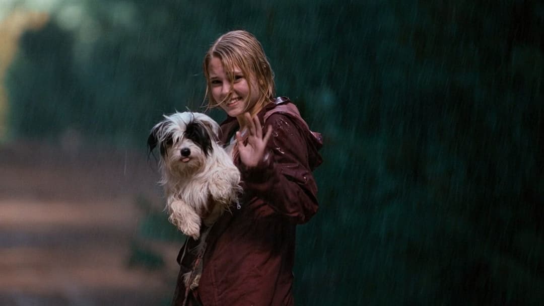 Bridge to Terabithia backdrop 17