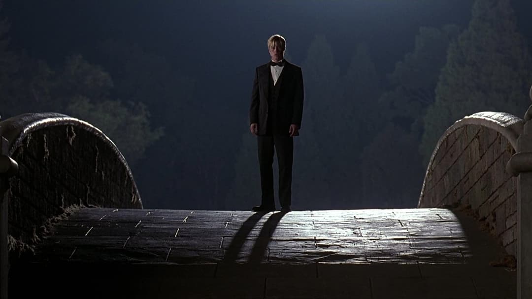 Meet Joe Black backdrop 16