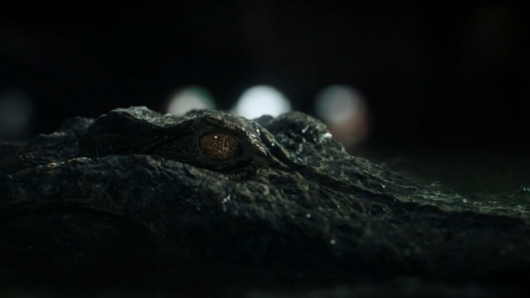 Хижаки backdrop 8