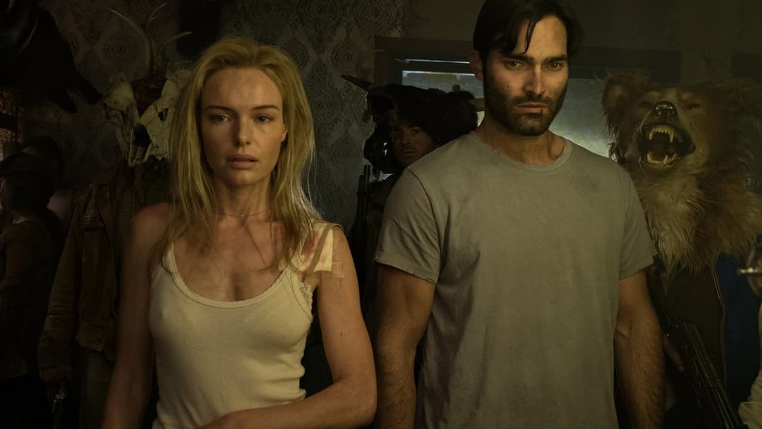 The Domestics backdrop 4