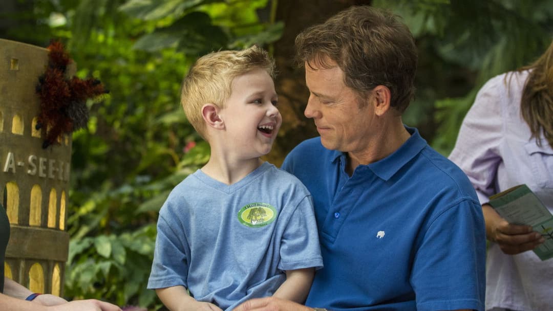 Den Himmel gibt's echt backdrop 11