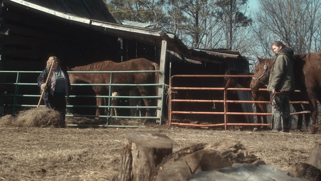 Winter's Bone backdrop 10