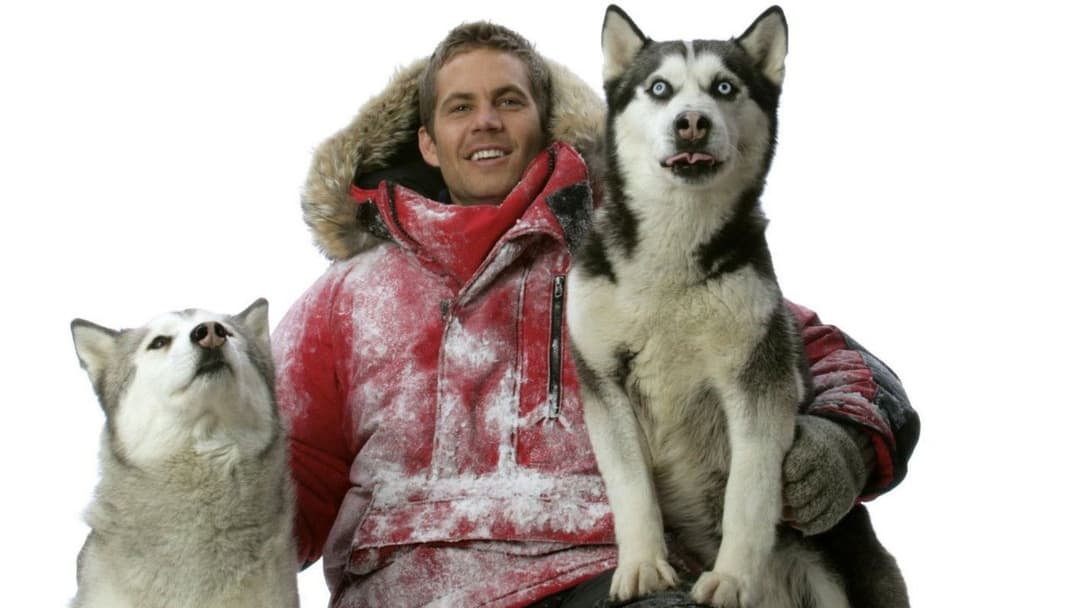 Eight Below backdrop 6