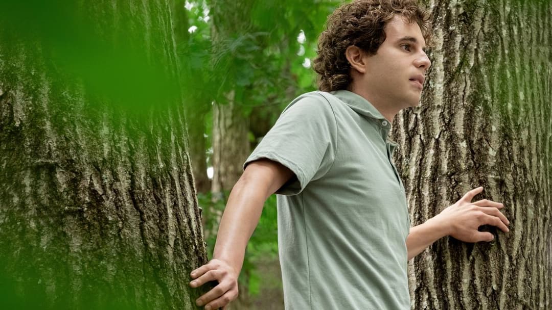 Dear Evan Hansen backdrop 2