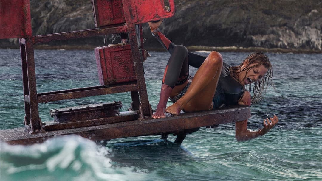 The Shallows backdrop 20