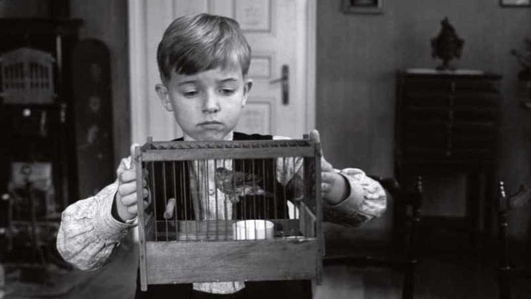 Das weiße Band - Eine deutsche Kindergeschichte backdrop 6