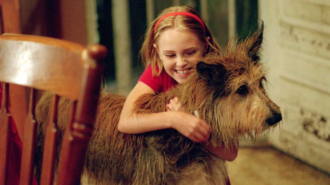 Winn-Dixie - Mein zotteliger Freund backdrop 4