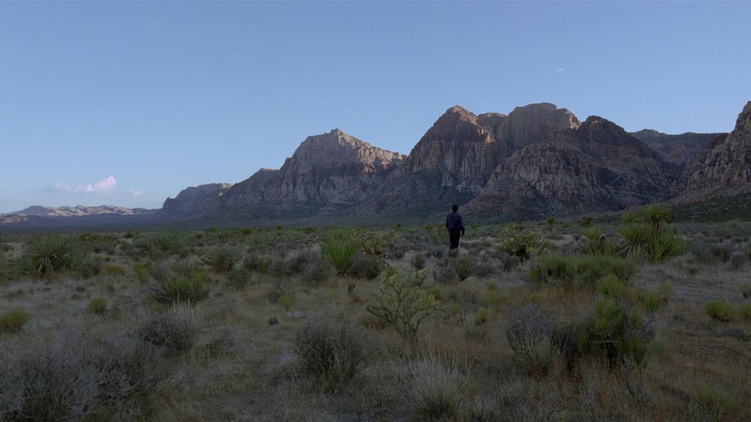 Knight of Cups backdrop 17