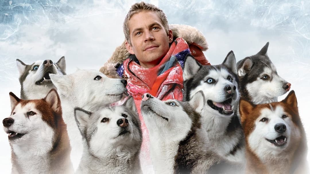 Eight Below backdrop 3