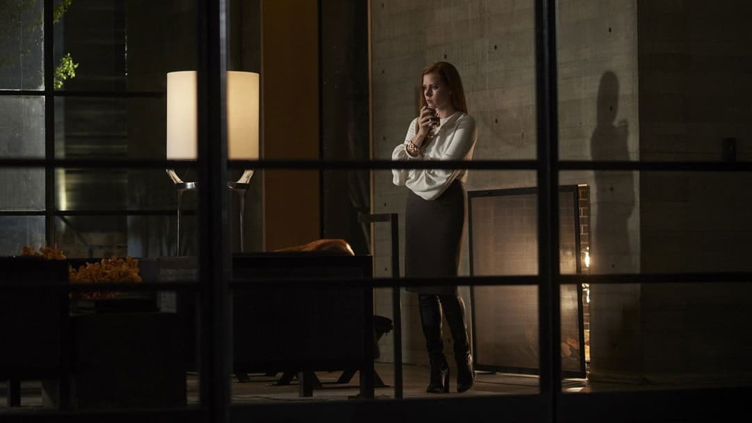 Nocturnal Animals backdrop 8