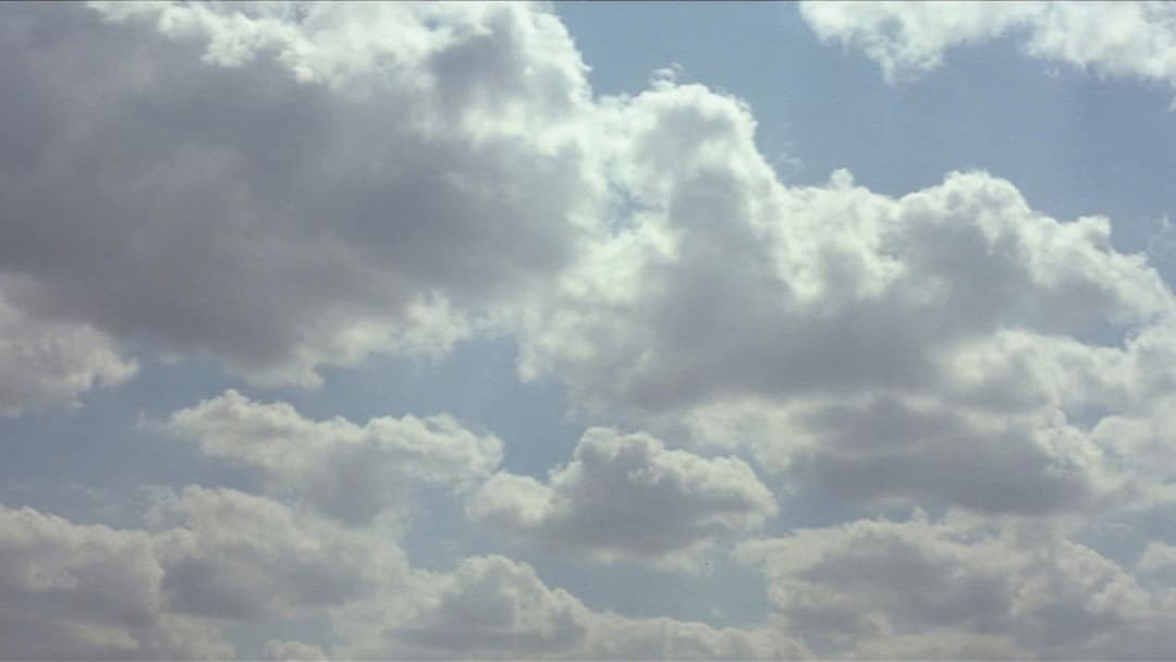 The Straight Story backdrop 9