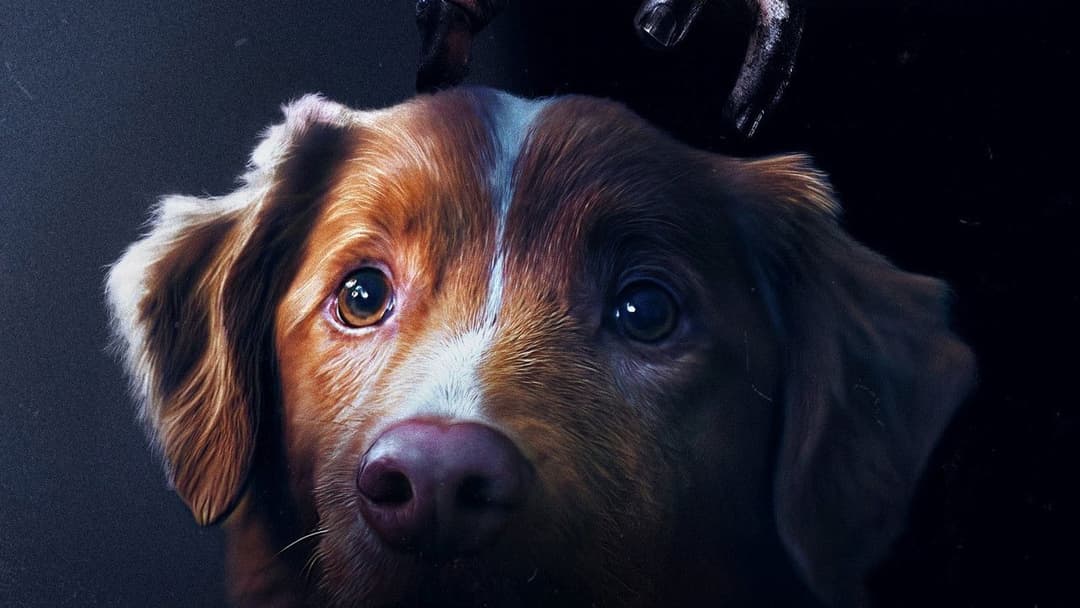 Хороший хлопчик backdrop 19