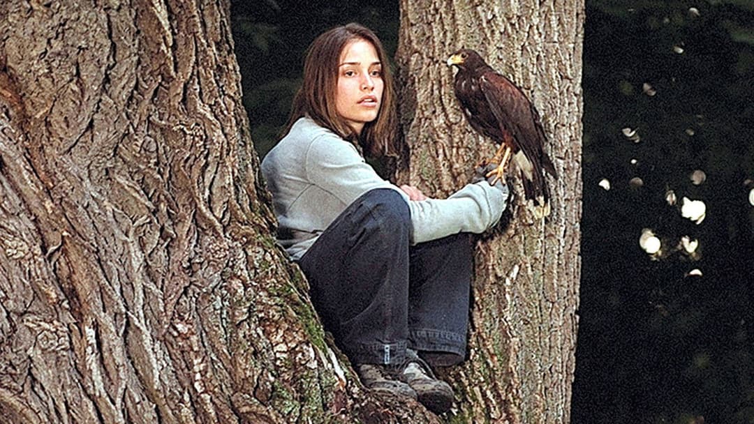 Lost and Delirious backdrop 4