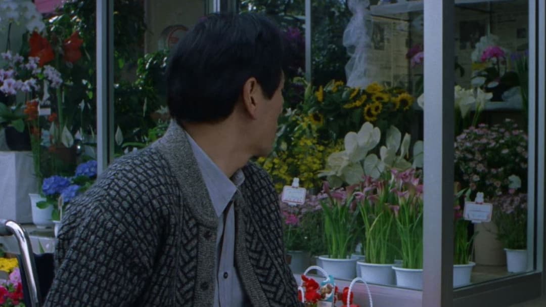 Hana-bi - Feuerblume backdrop 13