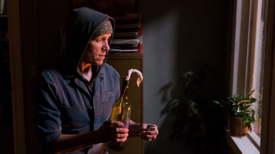 Three Billboards Outside Ebbing, Missouri backdrop 20