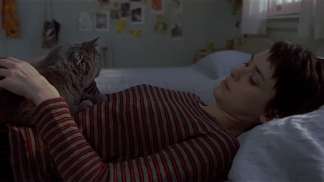 Durchgeknallt backdrop 16