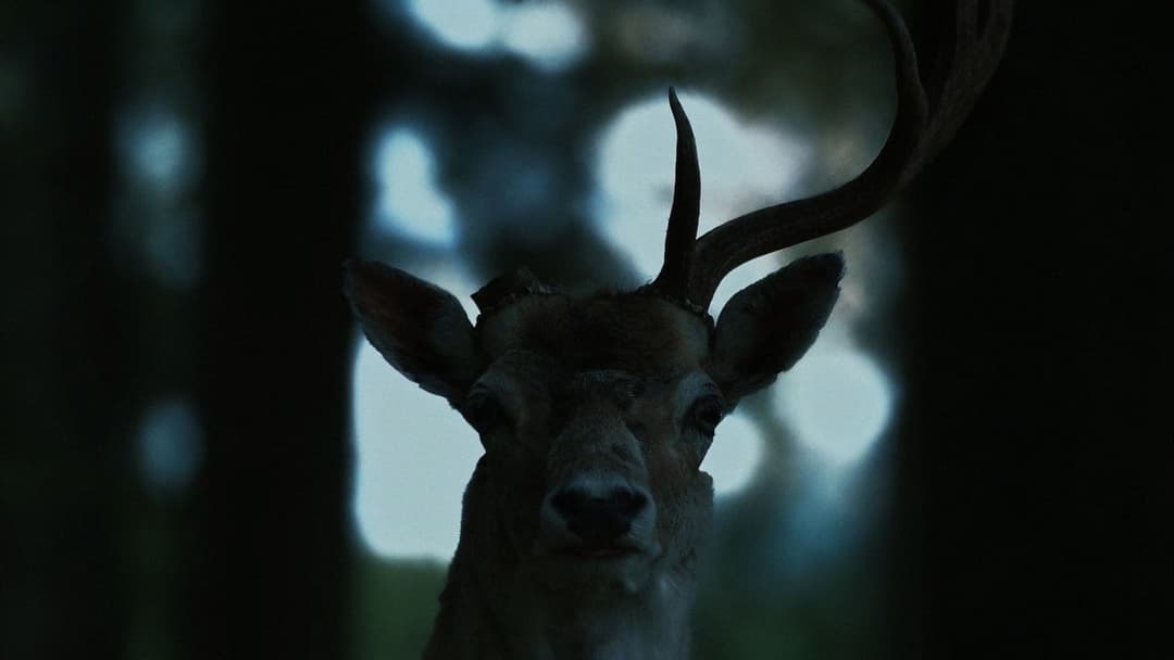 Das Andere backdrop 10