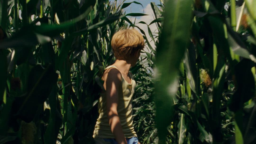 Ich seh, Ich seh backdrop 10