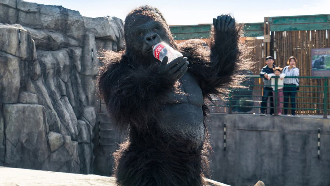 Secret Zoo backdrop 12