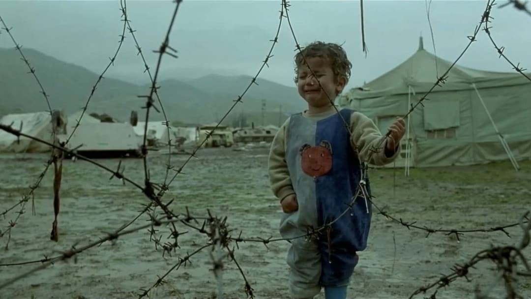 Turtles Can Fly backdrop 3