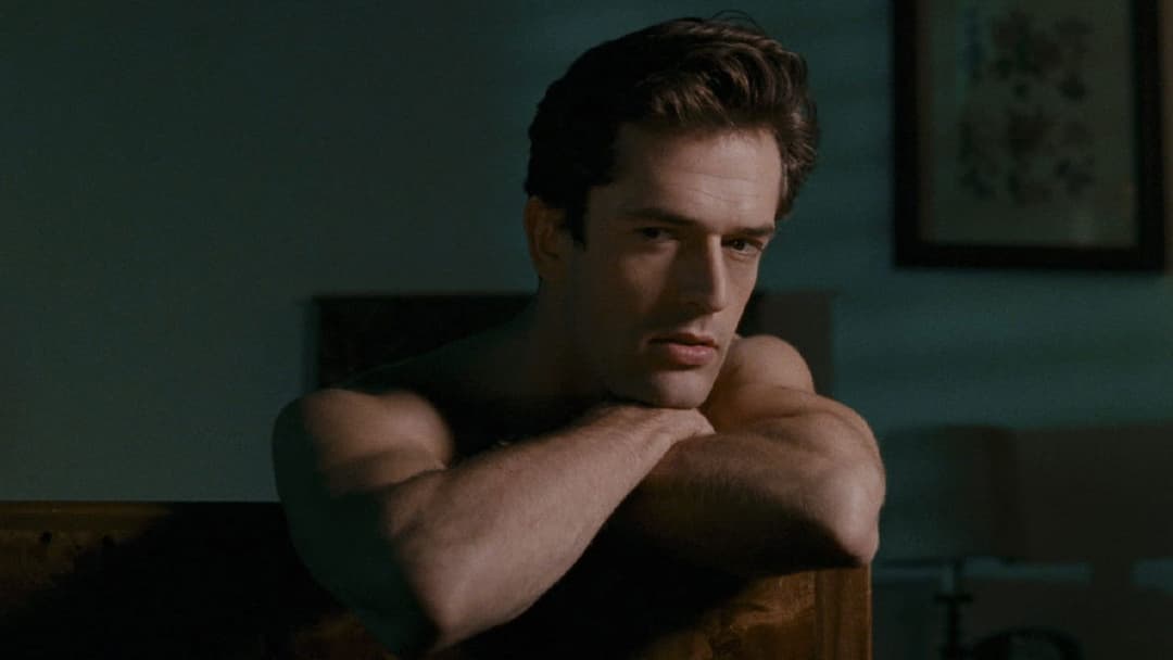 Втіха чужинців (Комфорт подорожніх) backdrop 9