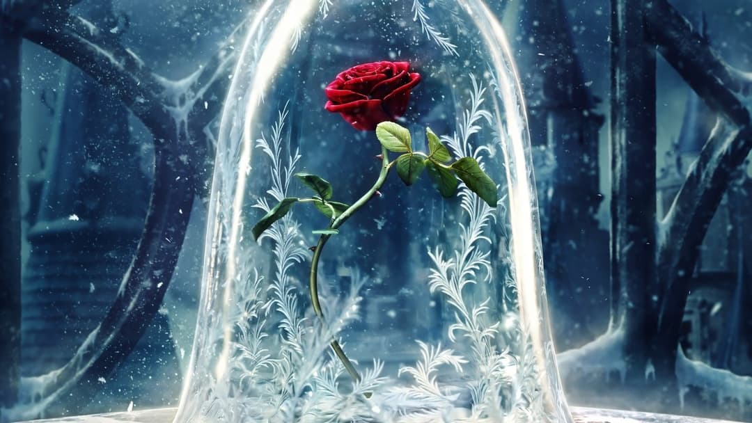 Красуня і Чудовисько backdrop 8