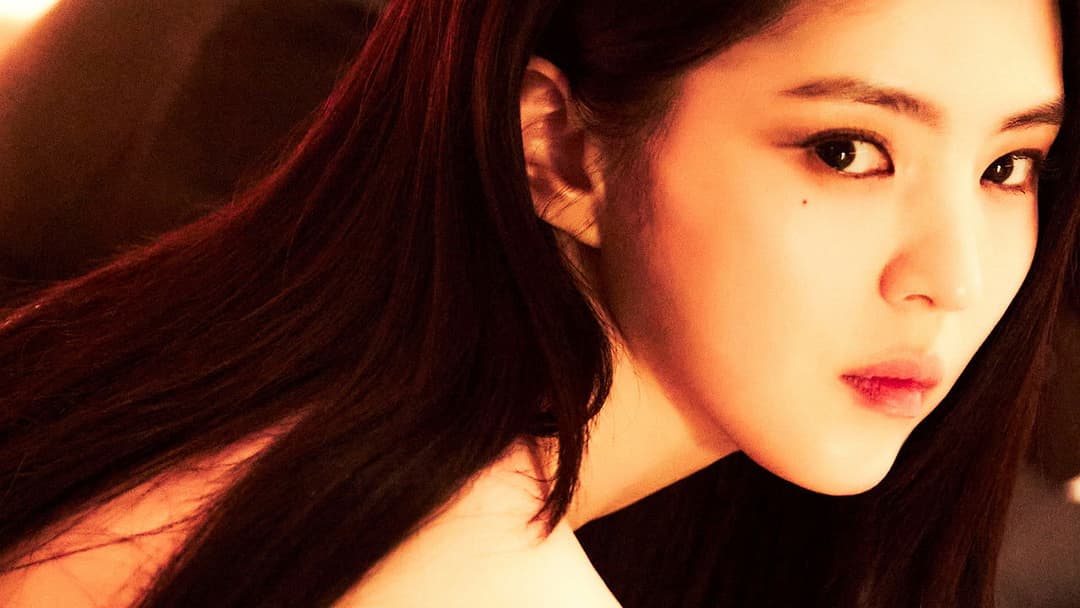 Project Y backdrop 14