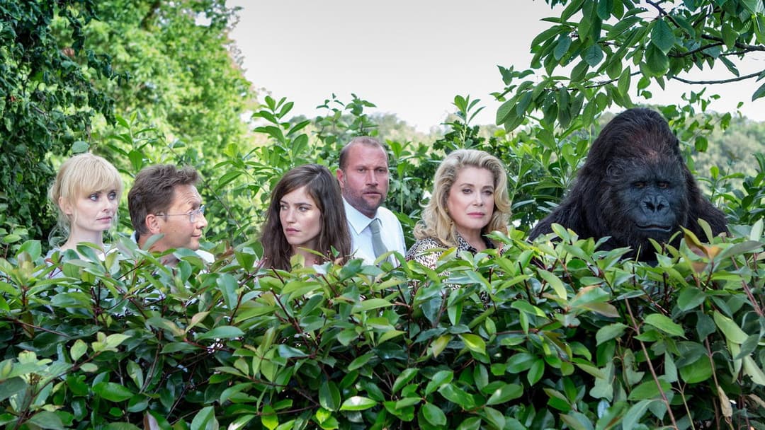 Das brandneue Testament backdrop 6