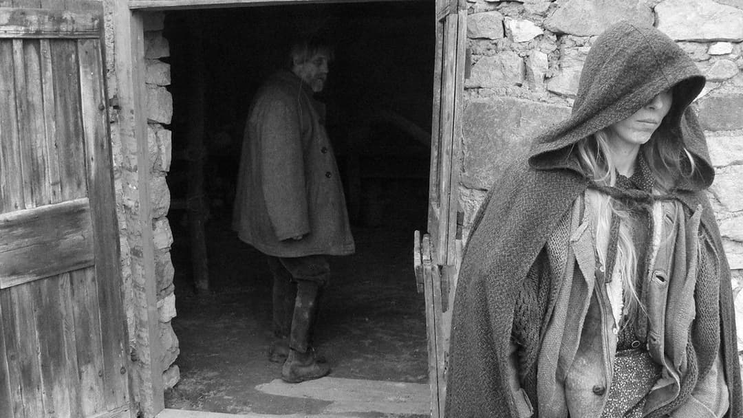 The Turin Horse backdrop 5