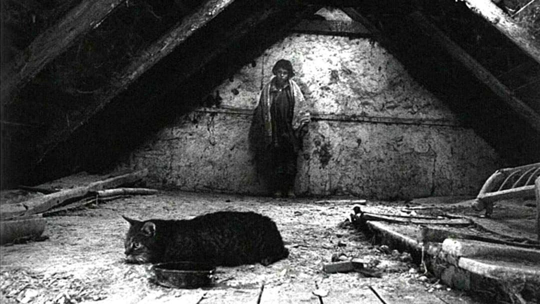 Satantango backdrop 14