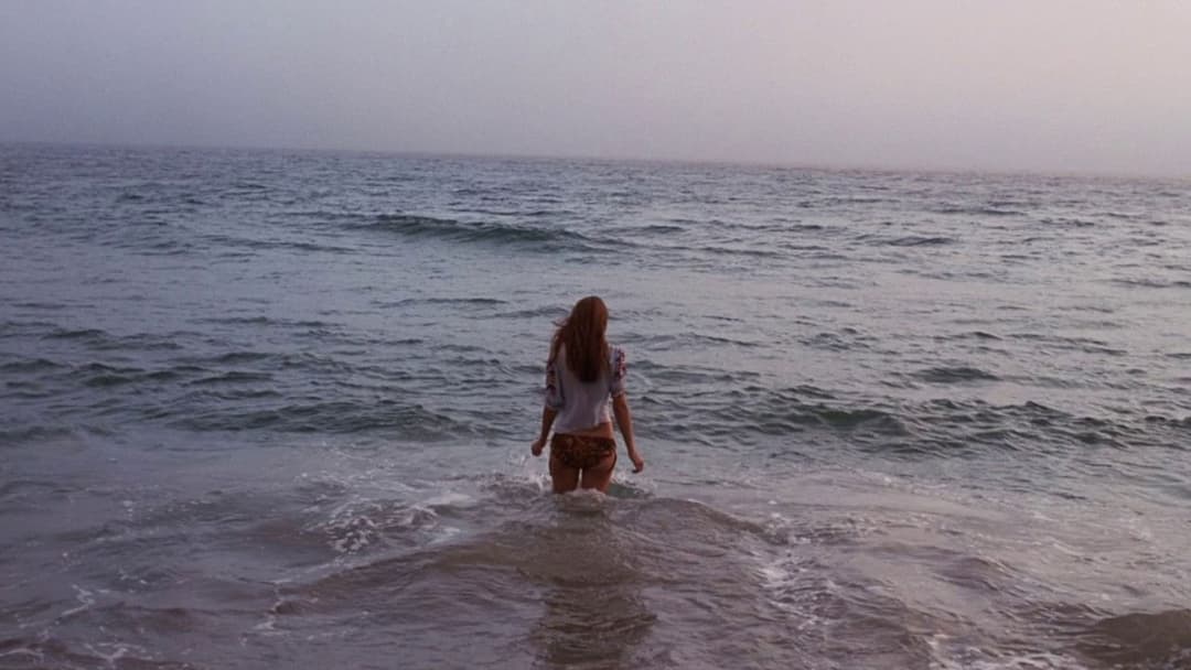 Inherent Vice - Natürliche Mängel backdrop 8