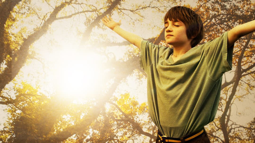 The Odd Life of Timothy Green backdrop 9