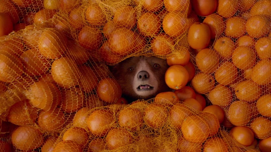 Paddington 2 backdrop 10