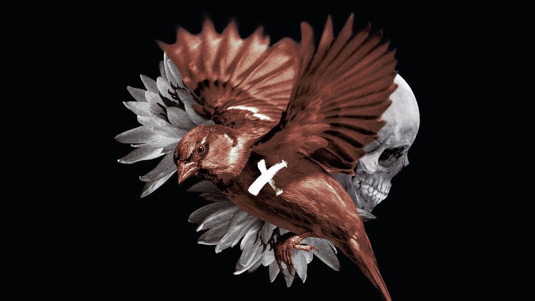 The Painted Bird backdrop 10