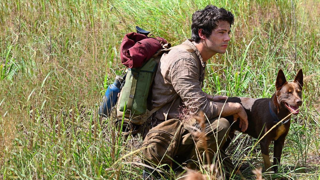 Love and Monsters backdrop 15