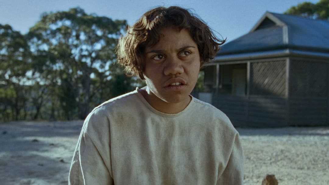 Клітка для кроликів backdrop 4