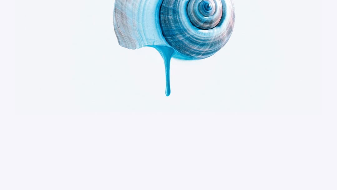 Das tiefste Blau backdrop 6