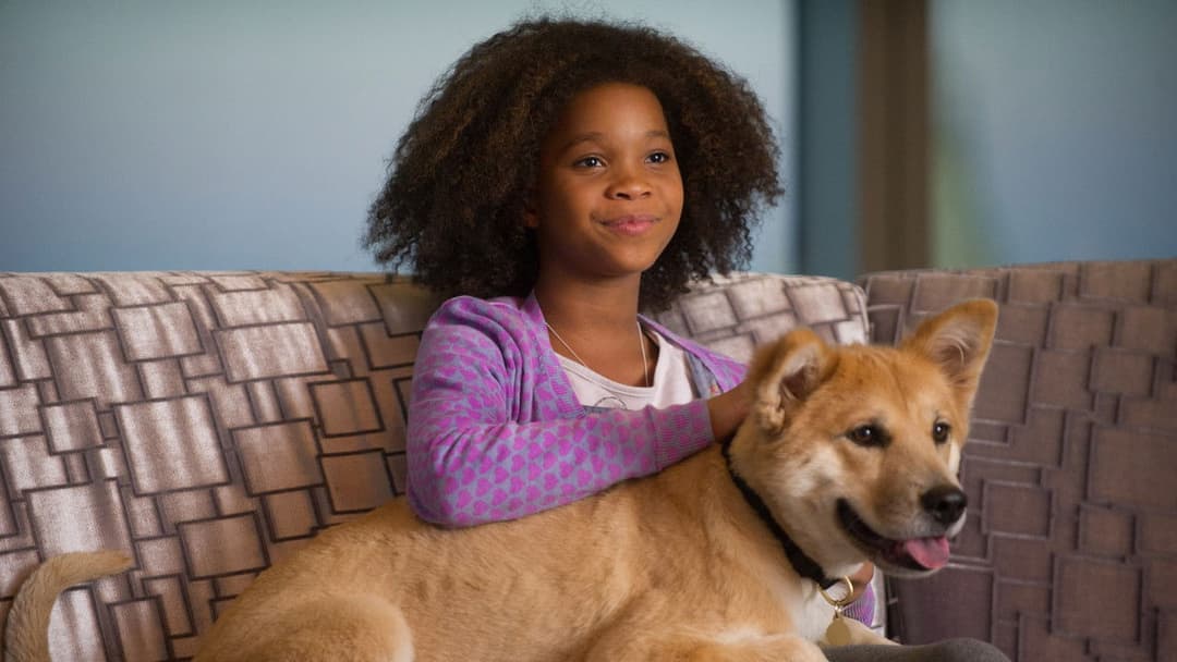 Енні backdrop 17