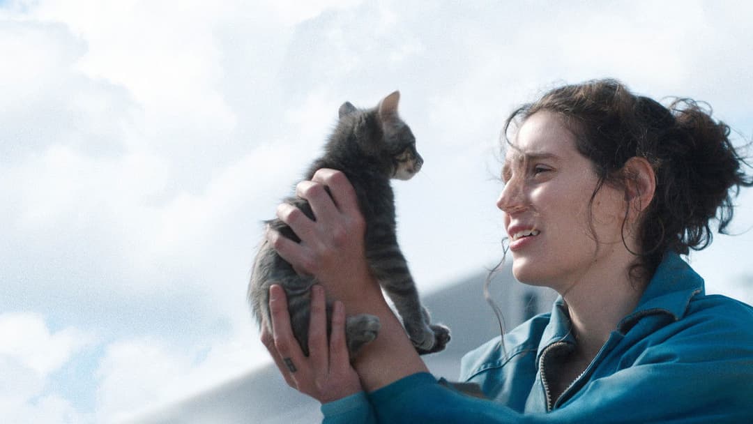 Sorry, Baby backdrop 3