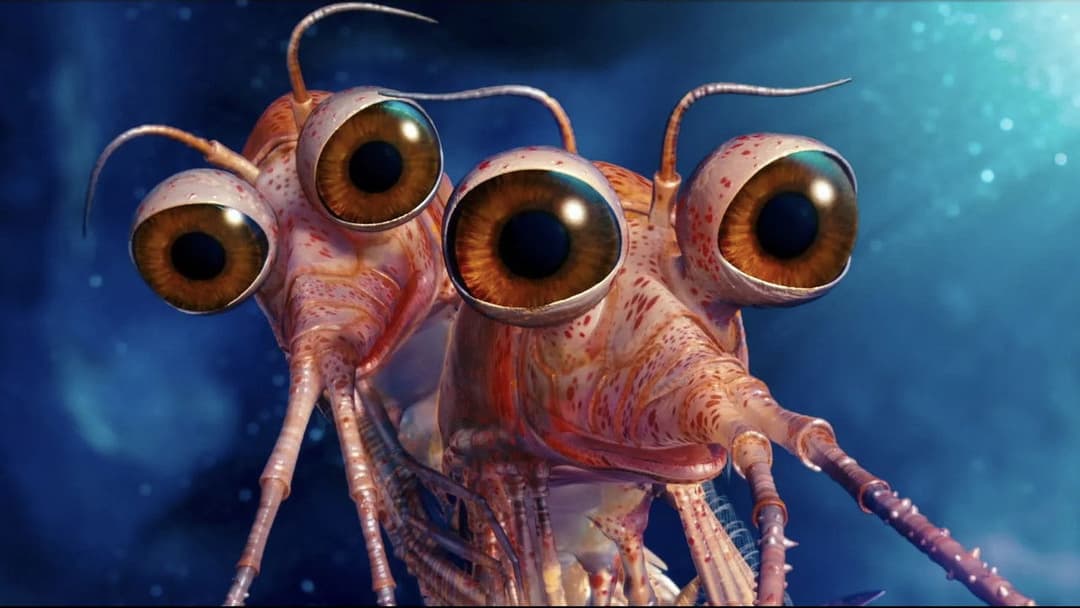 Happy Feet Two backdrop 17