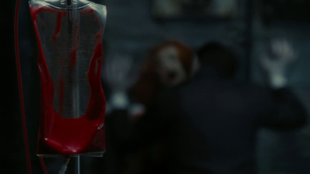 Dark Shadows backdrop 20