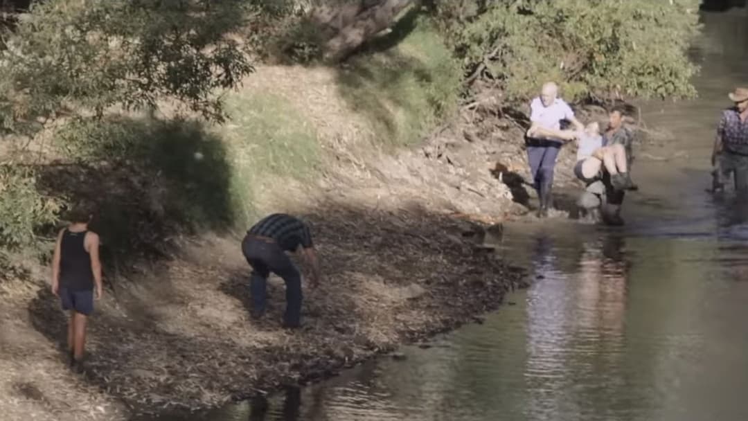 Посуха backdrop 8