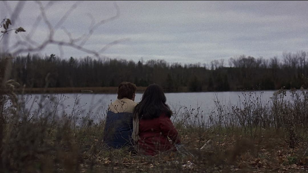 Lars and the Real Girl backdrop 7