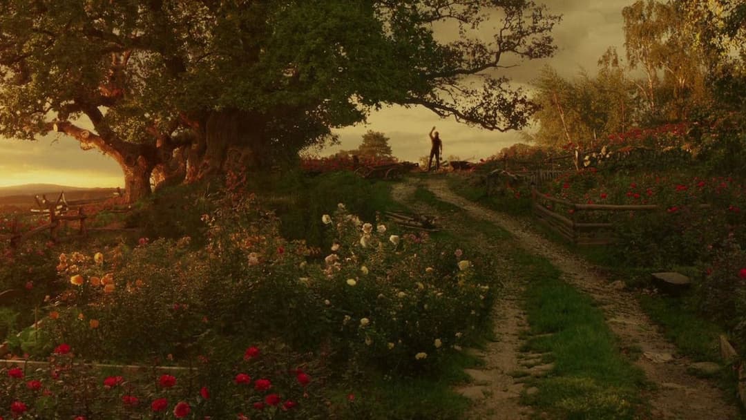 Die Schöne und das Biest backdrop 11