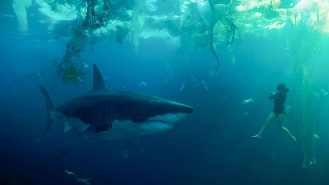 Under Paris backdrop 6