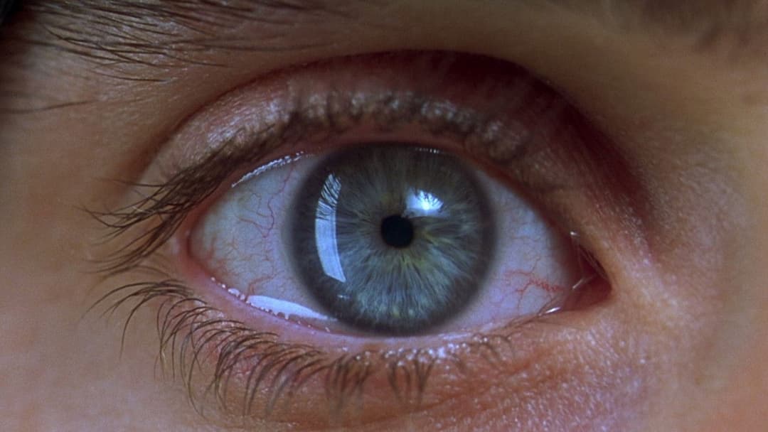 Requiem for a Dream backdrop 12