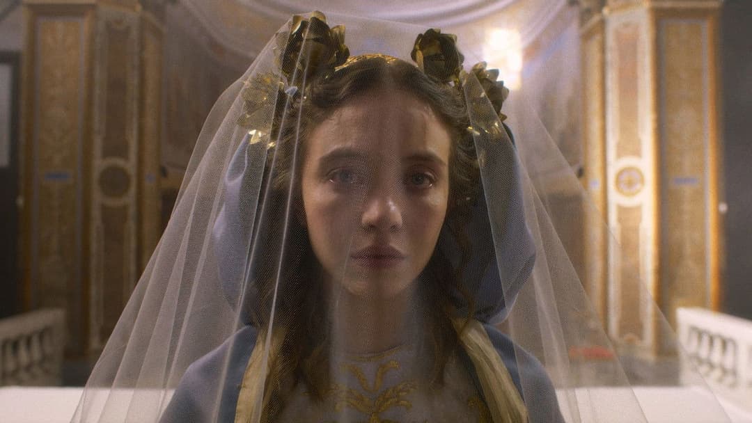 Immaculate backdrop 12