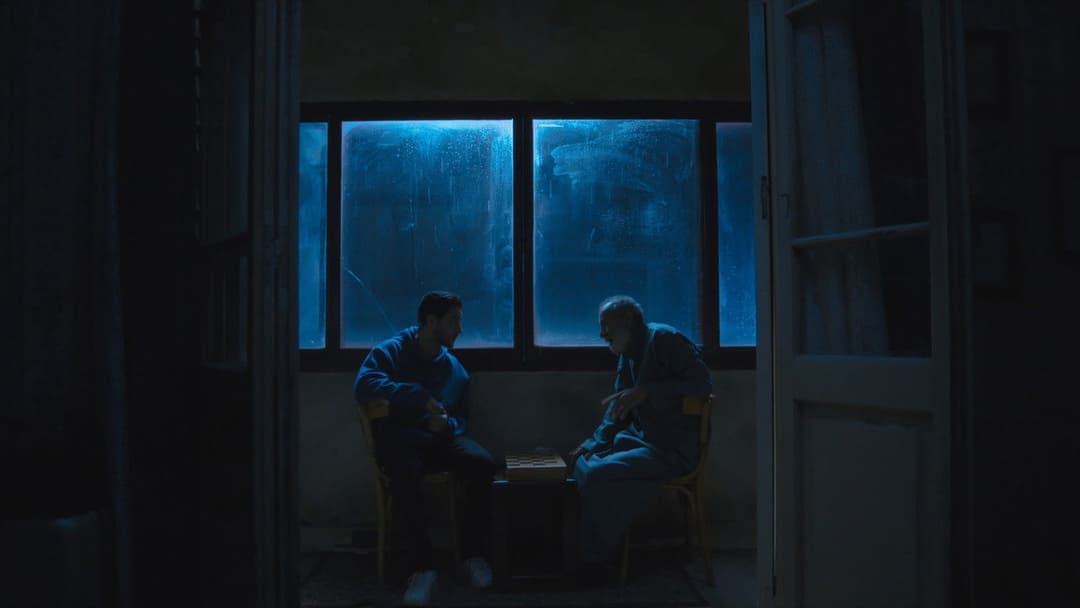 كولونيا backdrop 10