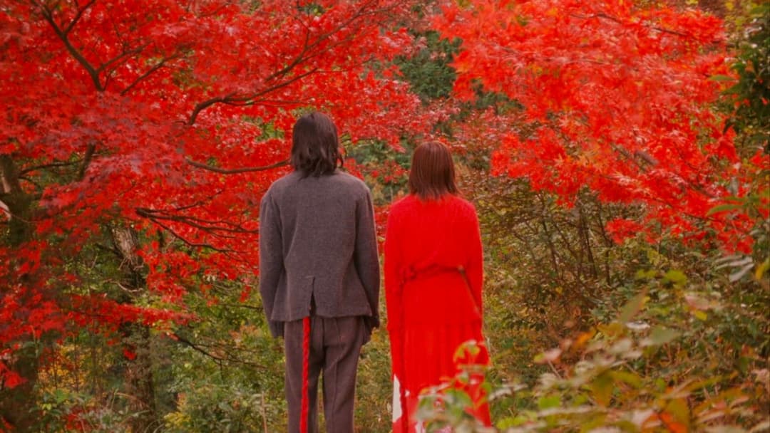 Ляльки backdrop 9