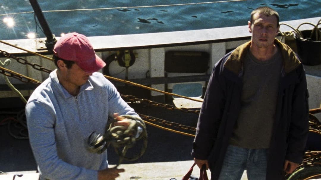 Rose of Nevada backdrop 3